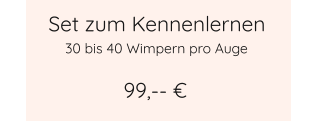 Set zum Kennenlernen 99,-- € 30 bis 40 Wimpern pro Auge