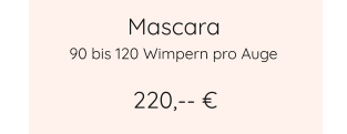 Mascara 220,-- € 90 bis 120 Wimpern pro Auge