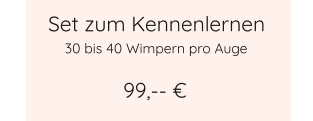 Set zum Kennenlernen 99,-- € 30 bis 40 Wimpern pro Auge